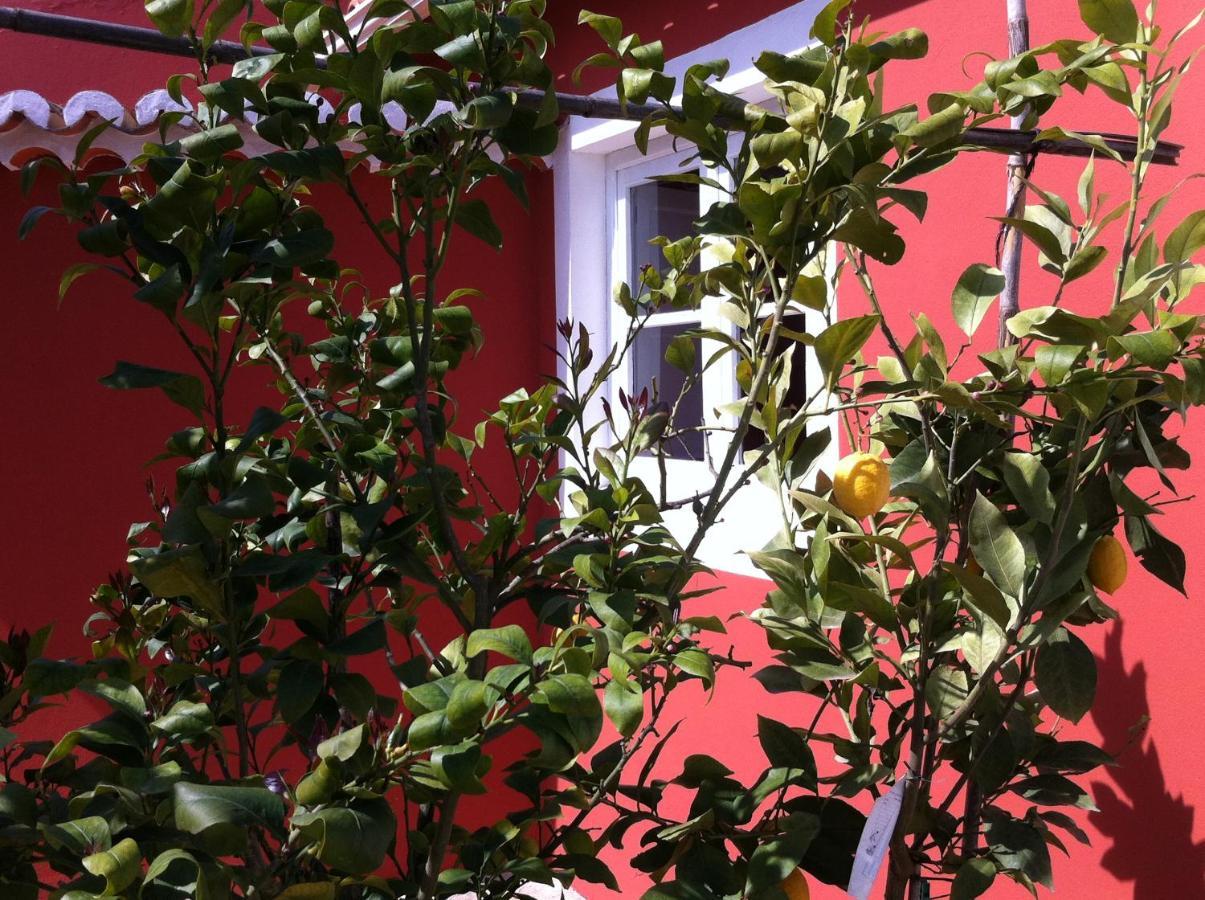 Verdemar Cercal do Alentejo エクステリア 写真